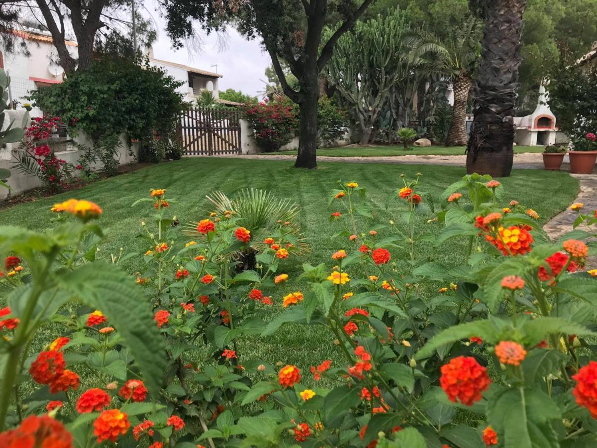 Villa Acquamarina Stella Di Mare Capitana Buitenkant foto